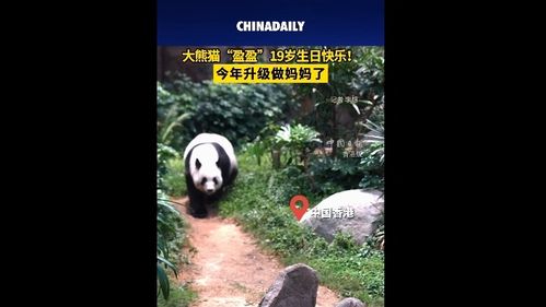 中国日报 信息网络传播视听节目的规范与发展